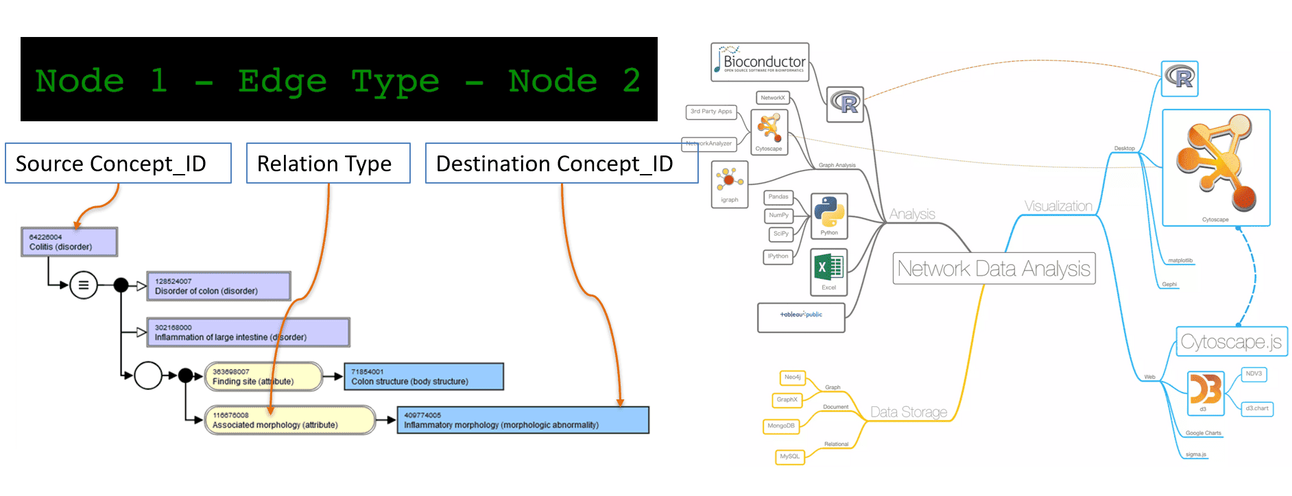 SCT visual tool